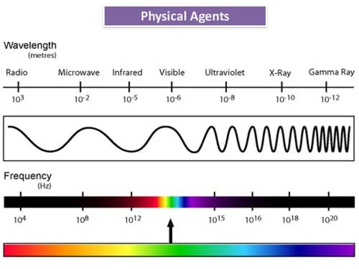 Physical Agents