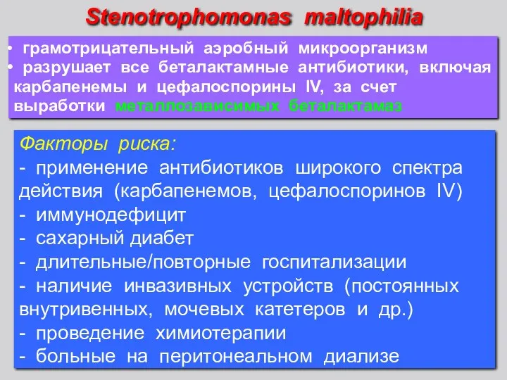 Факторы риска: - применение антибиотиков широкого спектра действия (карбапенемов, цефалоспоринов