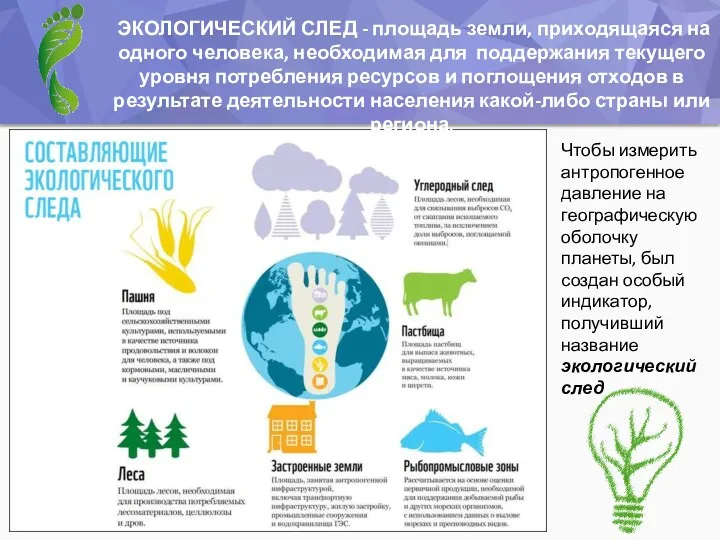 ЭКОЛОГИЧЕСКИЙ СЛЕД - площадь земли, приходящаяся на одного человека, необходимая