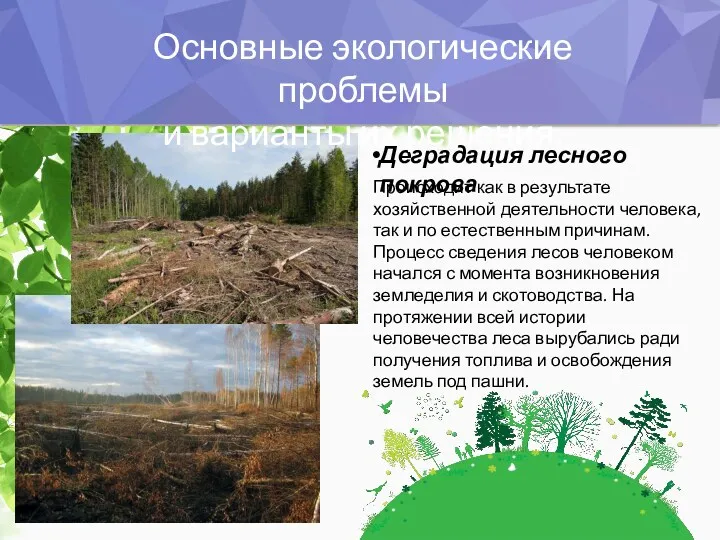 Деградация лесного покрова Происходит как в результате хозяйственной деятельности человека,