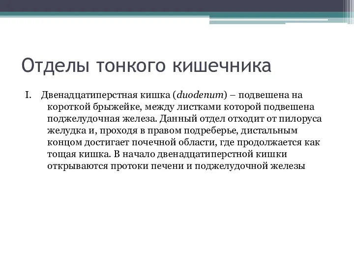 Отделы тонкого кишечника I. Двенадцатиперстная кишка (duodenum) – подвешена на