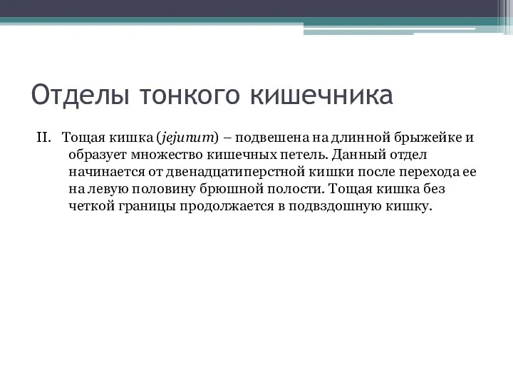 Отделы тонкого кишечника II. Тощая кишка (jejunum) – подвешена на