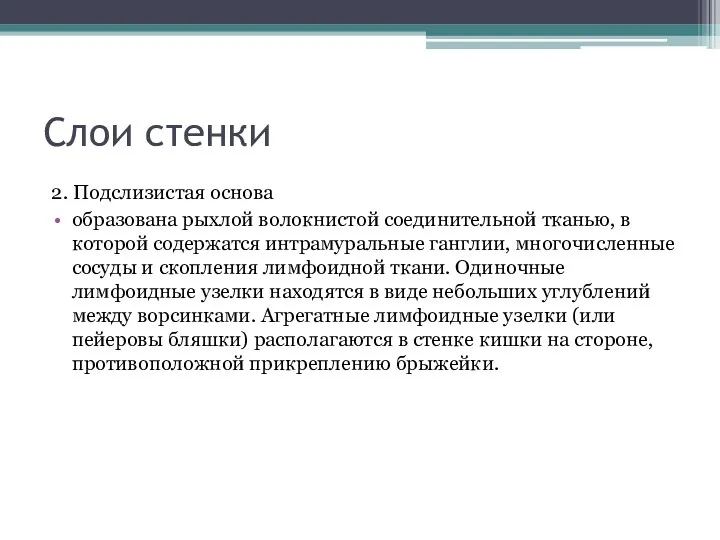 Слои стенки 2. Подслизистая основа образована рыхлой волокнистой соединительной тканью,