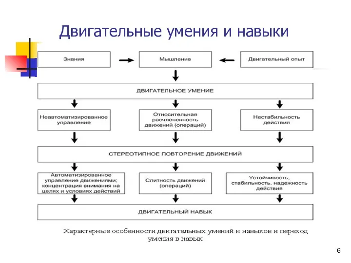 Двигательные умения и навыки