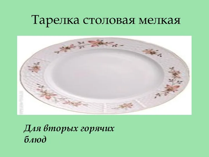 Тарелка столовая мелкая Для вторых горячих блюд