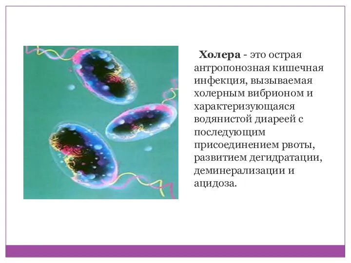 Холера - это острая антропонозная кишечная инфекция, вызываемая холерным вибрионом