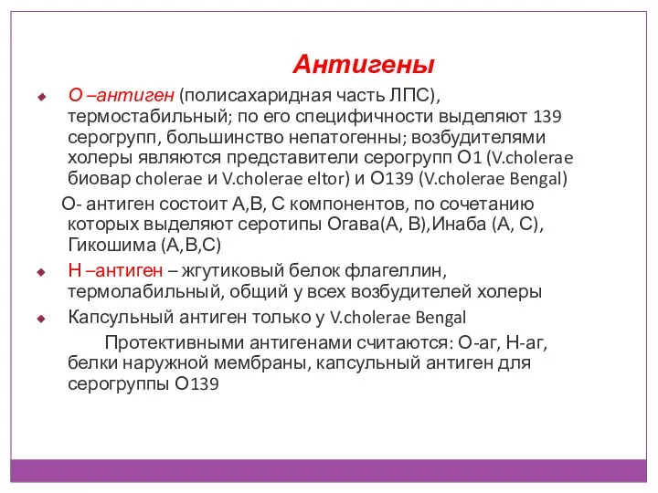 Антигены О –антиген (полисахаридная часть ЛПС), термостабильный; по его специфичности