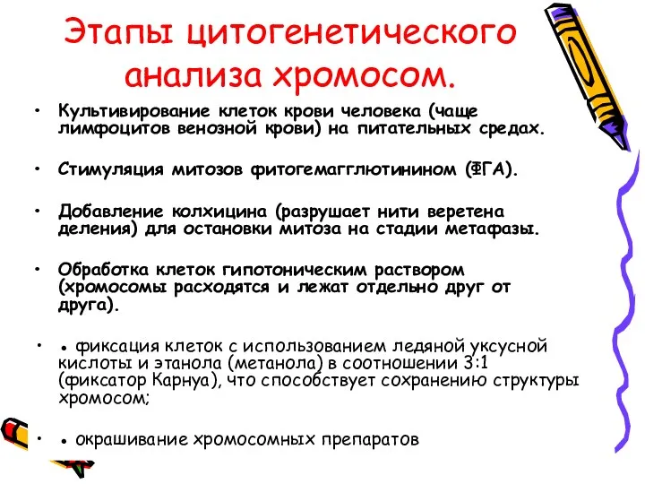 Этапы цитогенетического анализа хромосом. Культивирование клеток крови человека (чаще лимфоцитов