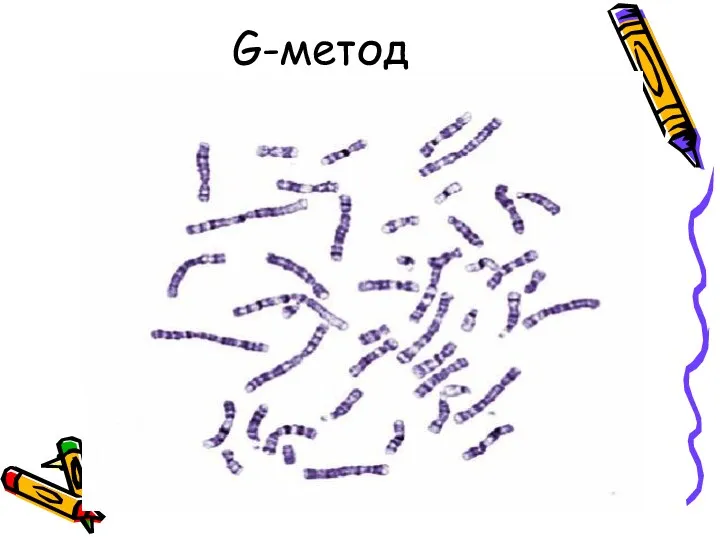 G-метод