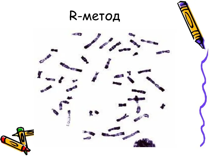 R-метод