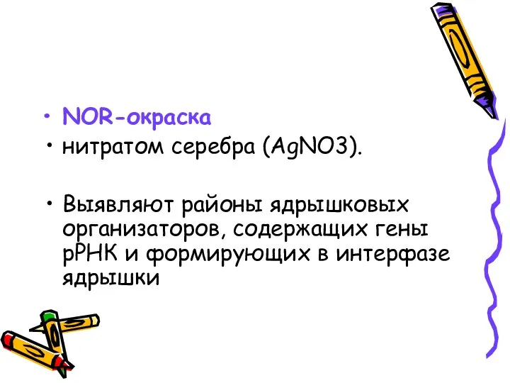 NOR-окраска нитратом серебра (AgNO3). Выявляют районы ядрышковых организаторов, содержащих гены рРНК и формирующих в интерфазе ядрышки