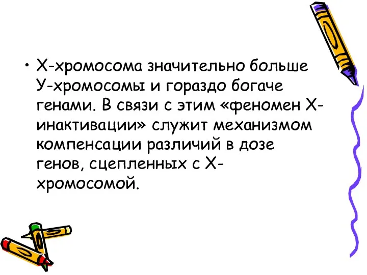 Х-хромосома значительно больше У-хромосомы и гораздо богаче генами. В связи