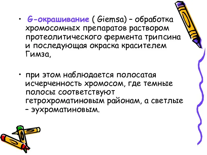 G-окрашивание ( Giemsa) – обработка хромосомных препаратов раствором протеолитического фермента