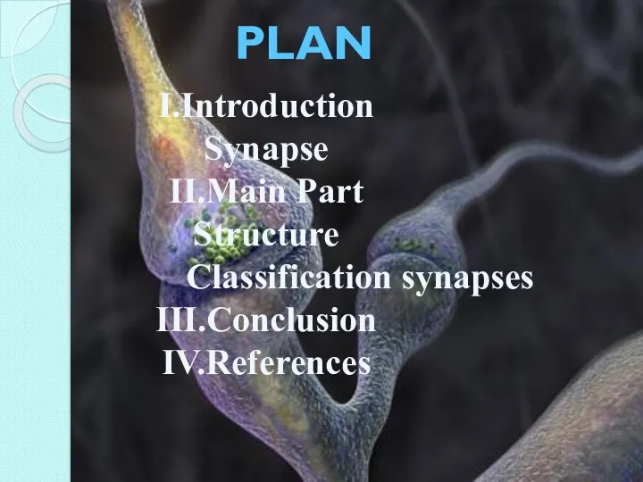 PLAN I.Introduction Synapse II.Main Part Structure Classification synapses III.Conclusion IV.References