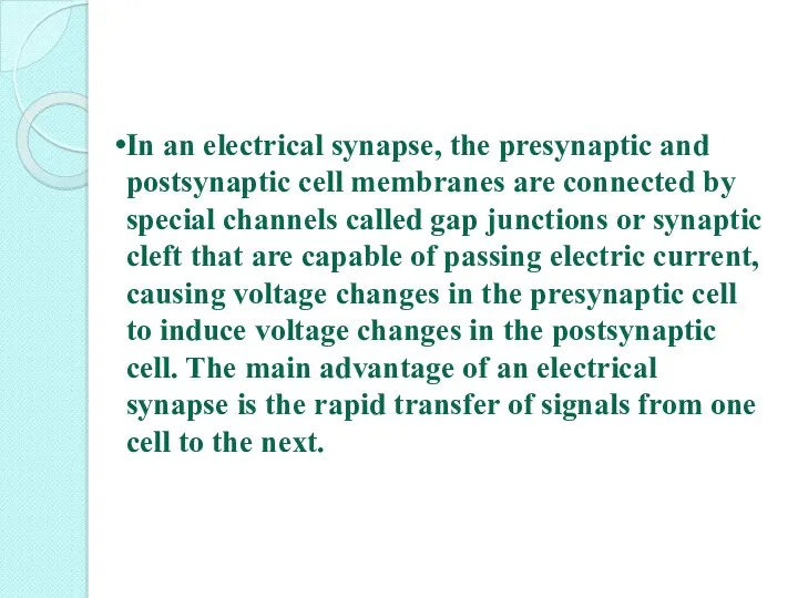 In an electrical synapse, the presynaptic and postsynaptic cell membranes are connected by