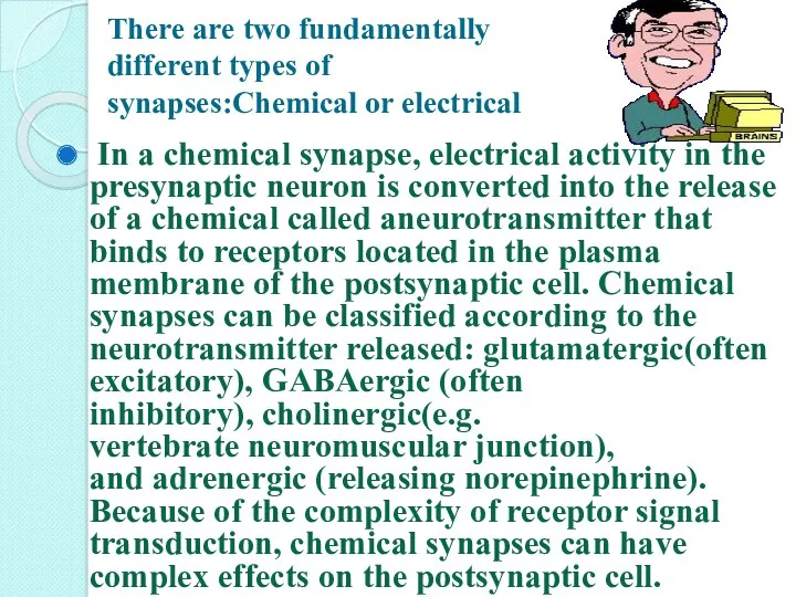 There are two fundamentally different types of synapses:Chemical or electrical In a chemical