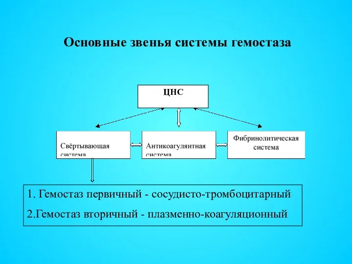 ЦНС Основные звенья системы гемостаза 1. Гемостаз первичный - сосудисто-тромбоцитарный 2.Гемостаз вторичный - плазменно-коагуляционный