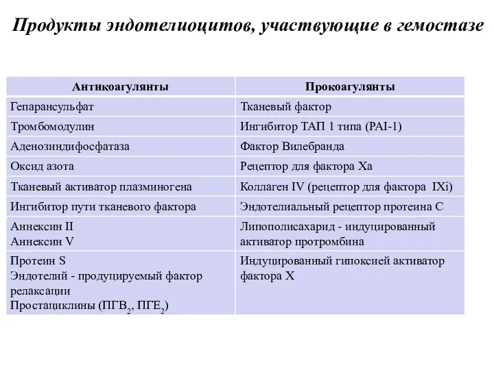 Продукты эндотелиоцитов, участвующие в гемостазе