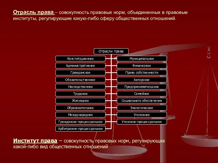 Отрасль права – совокупность правовых норм, объединенных в правовые институты,