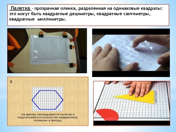 Палетка – прозрачная пленка, разделенная на одинаковые квадраты: это могут