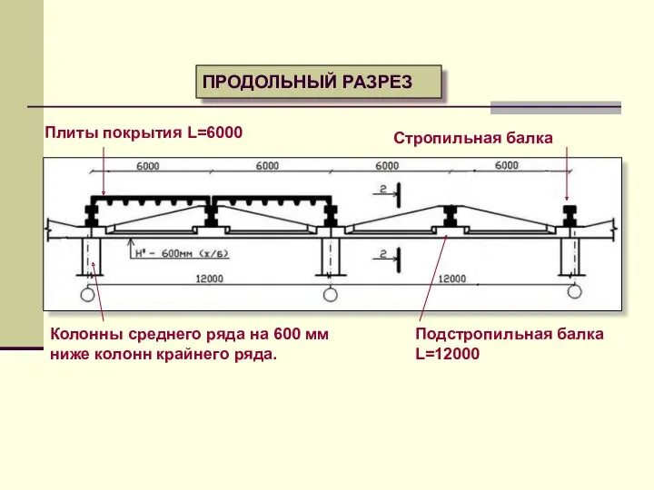 ПРОДОЛЬНЫЙ РАЗРЕЗ