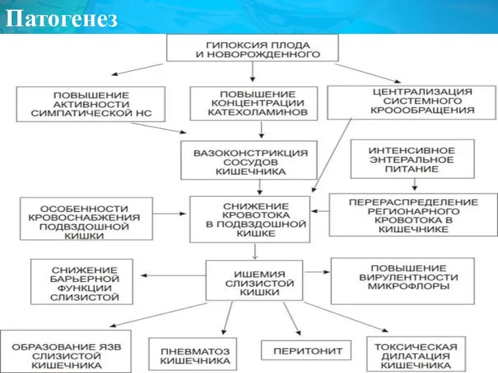 Патогенез