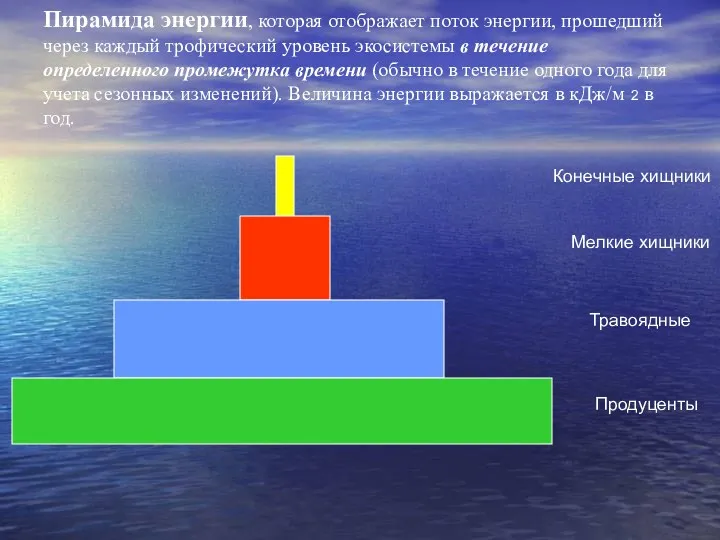 Пирамида энергии, которая отображает поток энергии, прошедший через каждый трофический уровень экосистемы в