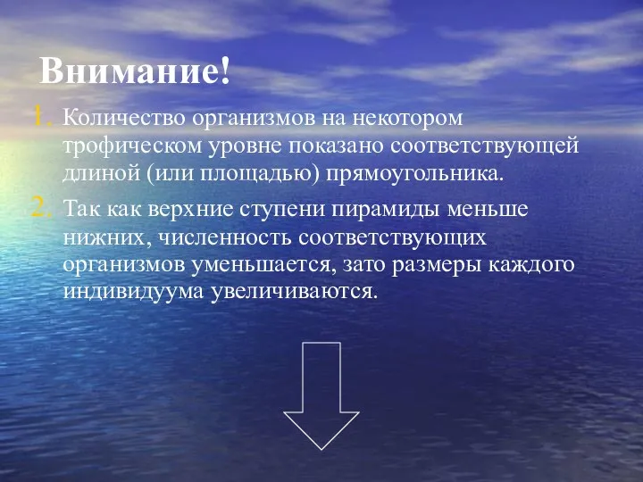 Внимание! Количество организмов на некотором трофическом уровне показано соответствующей длиной