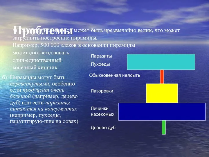 Проблемы б) Пирамиды могут быть перевернутыми, особенно если продуцент очень большой (например, дерево