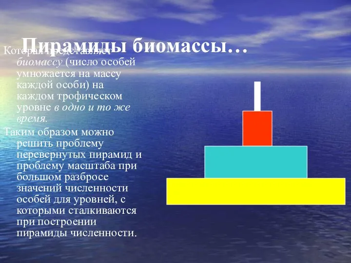 Пирамиды биомассы… Которая представляет биомассу (число особей умножается на массу каждой особи) на