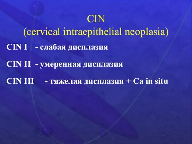 CIN (cervical intraepithelial neoplasia) CIN I - слабая дисплазия CIN