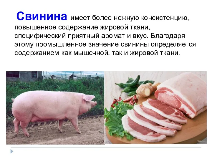 Свинина имеет более нежную консистенцию, повышенное содержание жировой ткани, специфический