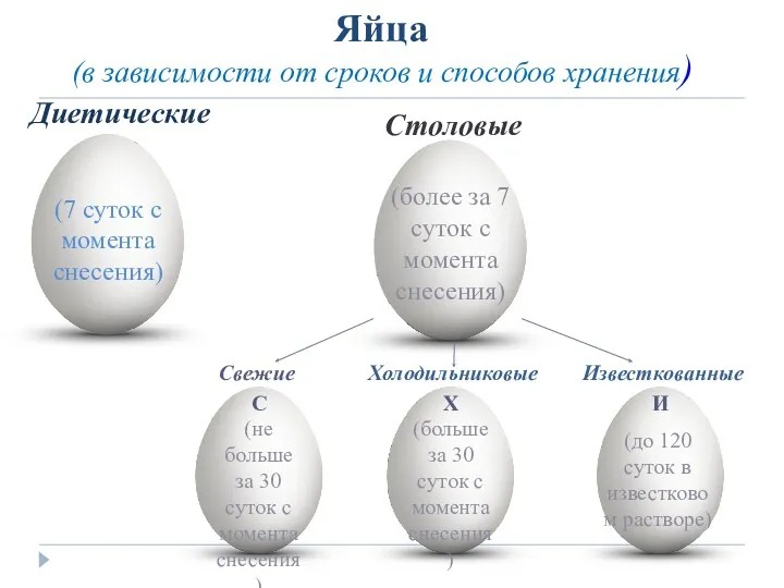 (в зависимости от сроков и способов хранения) Яйца (7 суток