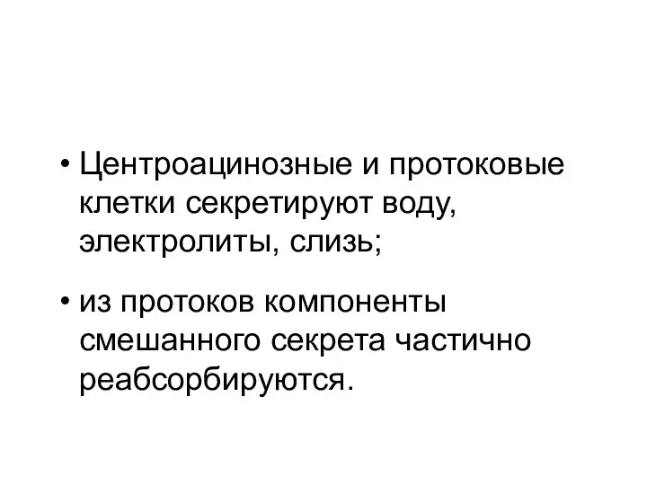 Центроацинозные и протоковые клетки секретируют воду, электролиты, слизь; из протоков компоненты смешанного секрета частично реабсорбируются.