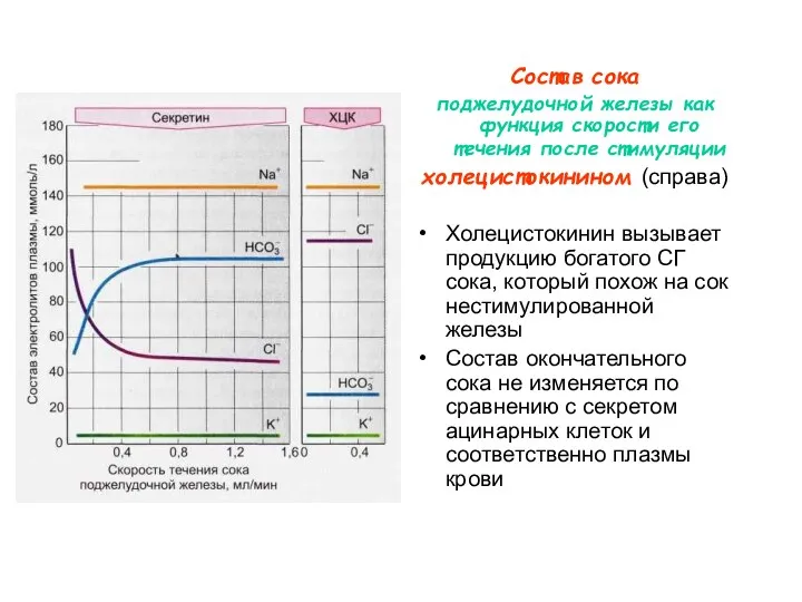 Состав сока поджелудочной железы как функция скорости его течения после стимуляции холецистокинином (справа)