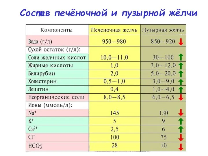 Состав печёночной и пузырной жёлчи