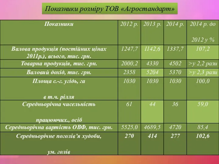 Показники розміру ТОВ «Агростандарт»