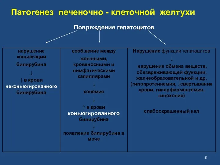 Патогенез печеночно - клеточной желтухи Повреждение гепатоцитов