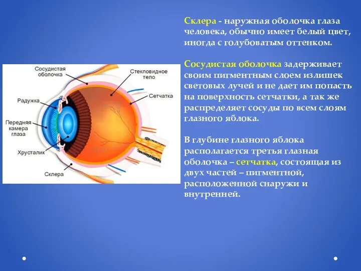 Склера - наружная оболочка глаза человека, обычно имеет белый цвет,