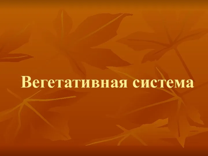 Вегетативная система