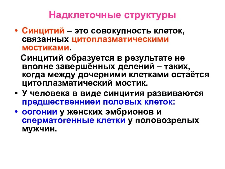 Надклеточные структуры Синцитий – это совокупность клеток, связанных цитоплазматическими мостиками.