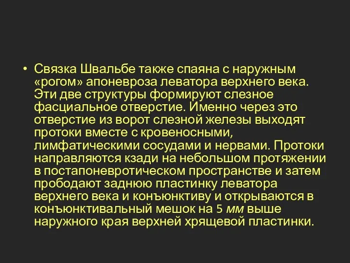 Связка Швальбе также спаяна с наружным «рогом» апоневроза леватора верхнего века. Эти две