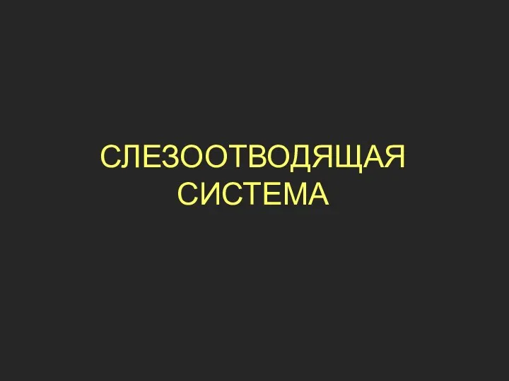 СЛЕЗООТВОДЯЩАЯ СИСТЕМА