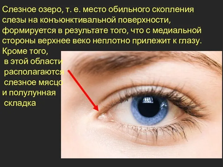 Слезное озеро, т. е. место обильного скопления слезы на конъюнктивальной поверхности, формируется в