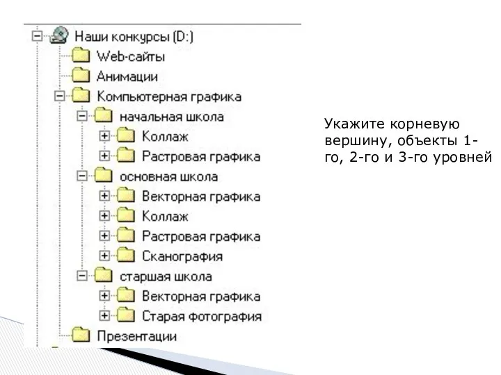 Укажите корневую вершину, объекты 1-го, 2-го и 3-го уровней