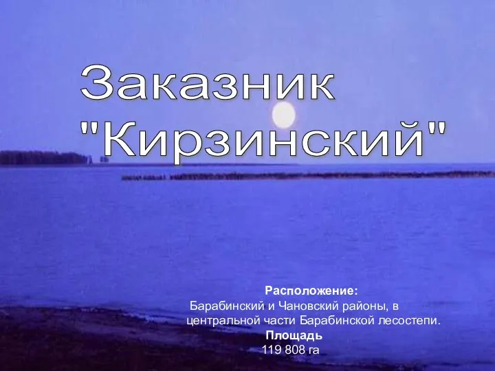 Расположение: Барабинский и Чановский районы, в центральной части Барабинской лесостепи. Площадь 119 808 га Заказник "Кирзинский"