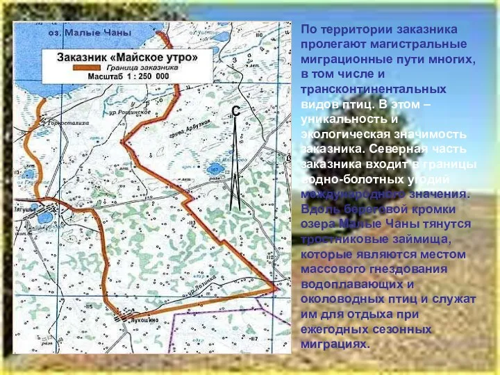 По территории заказника пролегают магистральные миграционные пути многих, в том