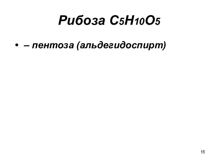 Рибоза C5H10O5 – пентоза (альдегидоспирт)