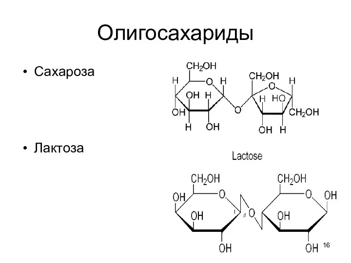 Олигосахариды Сахароза Лактоза