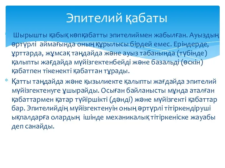 Шырышты қабық көпқабатты эпителиймен жабылған. Ауыздың әртүрлі аймағында оның құрылысы бірдей емес. Еріндерде,